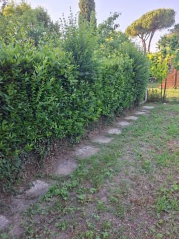 Terratetto in vendita a San Giuliano Terme - Foto 19