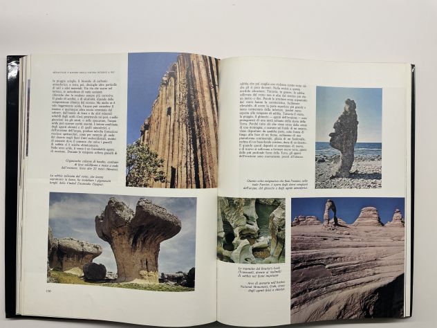 Meraviglie e misteri della natura intorno a noi - Foto 3