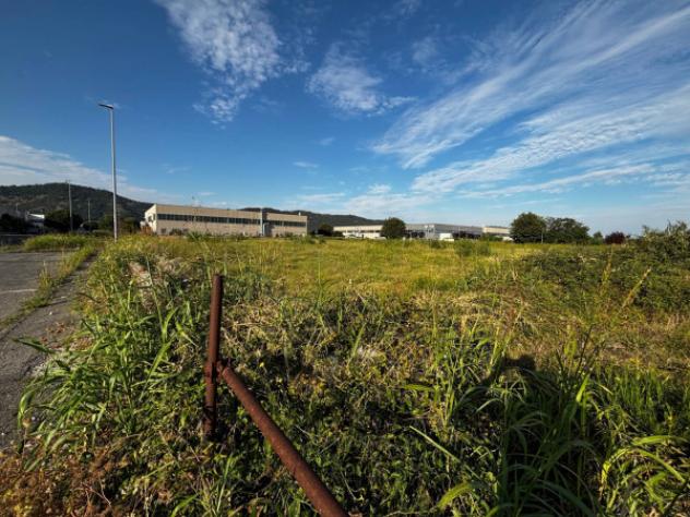 Terreno di 6400 m² in vendita a Cologne - Foto 6