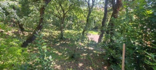 Immobile in asta di 165 m² in vendita a Ferentino - Foto 7