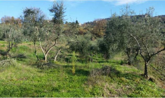 Immobile in asta di 70 m² in vendita a Ficulle - Foto 3