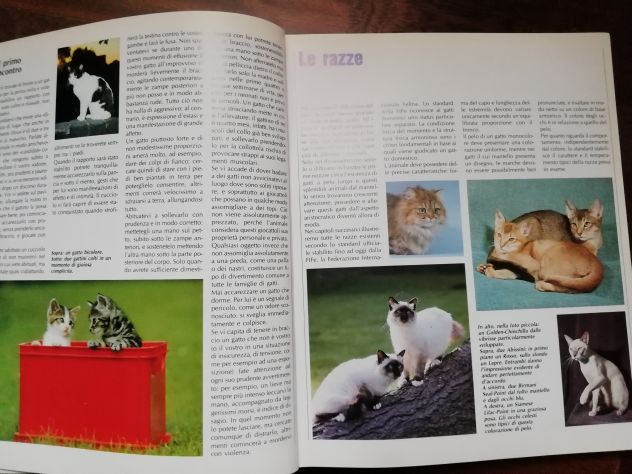 CONOSCERE IL GATTO - Foto 2
