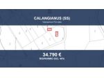 Immobile in asta di 32809 m² in vendita a Calangianus