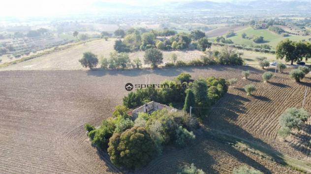 Cartoceto (pu) posizionato su un'altura che domina l'intera vallata del metauro fino alle principali spiagge di fano, non lontano dall'asse viario del - Foto 6