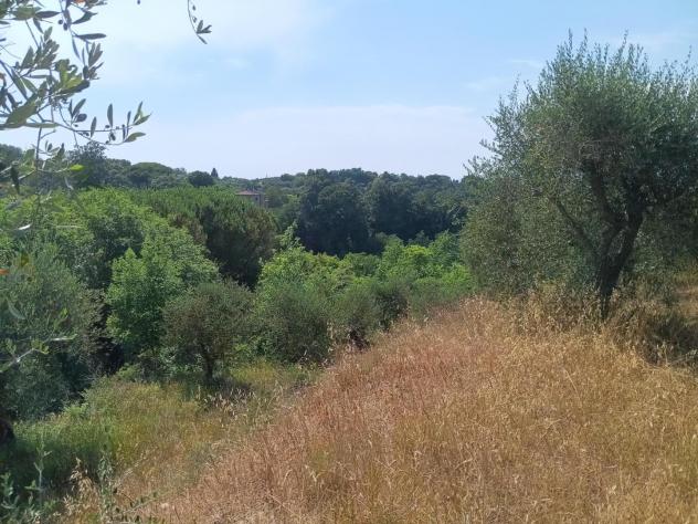 Terreno agricolo in vendita a Treggiaia - Pontedera 100000 mq Rif: 938474 - Foto 3