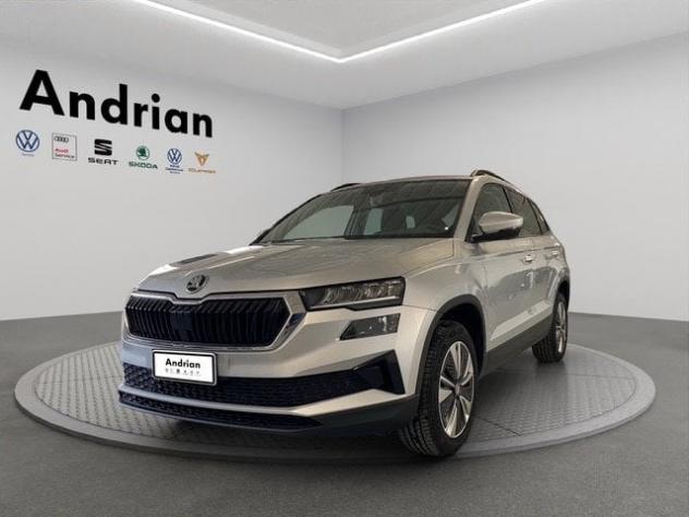 Škoda Karoq Karoq 2.0 TDI EVO SCR 115 CV DSG Ambition