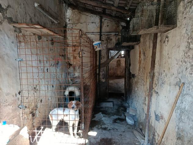 Casa Indipendente in vendita a Aci Sant'Antonio - Foto 5