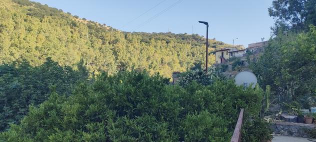 Singola in vendita a Palizzi - Foto 5