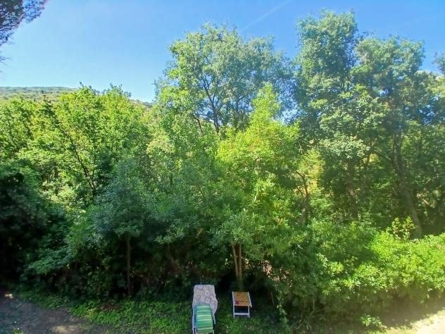 Porzione di casa in vendita a Molina di Quosa - San Giuliano Terme 150 mq Rif: 1423260 - Foto 6