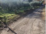 VENDESI lotti terreno agricolo