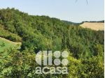 TERRENO AGRICOLO A BOSCO