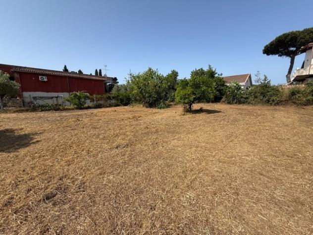 Terreno edificabile in vendita a Nettuno - Foto 8