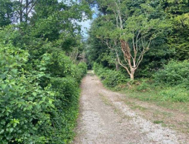 Immobile in asta di 40000 m² in vendita a Velletri