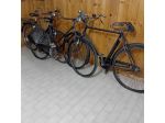 Biciclette tipo R