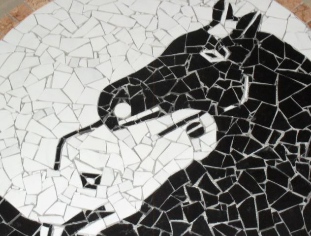 Rosone per pavimenti mod. Yin Yang PREZZO RIBASSATO - Foto 3