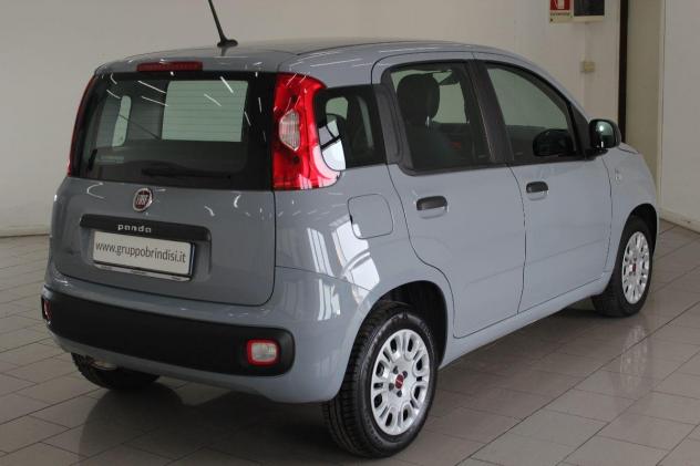 FIAT - Panda - 1.2 Easy - Foto 6