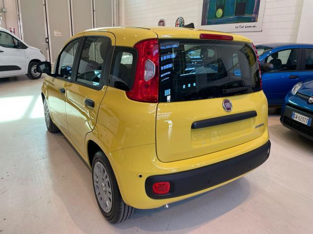 FIAT Panda 1.0 FireFly S&S Hybrid - Foto 4