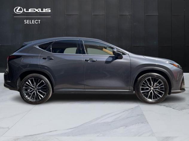 Lexus NX Plug-in Luxury 4WD - Foto 4