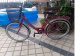 Bici Donna Bianchi Venezia Splendida bici tutta cosi come si vede in foto. Marca