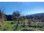 IMMOBILI-IMMOBILE RESIDENZIALE-Località Casenove, 16, 06049 Spoleto PG, Italia