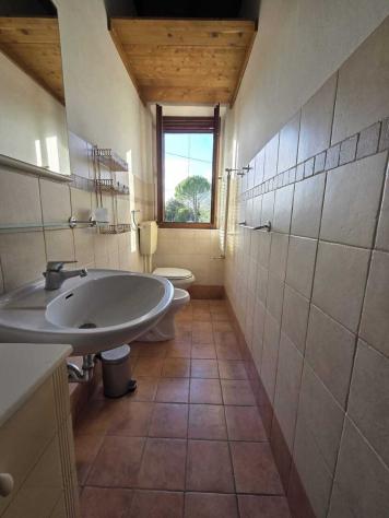 Stanza in appartamento in affitto a Siena - Foto 7