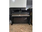 Pianoforte bluthner 130 tedesco con trasporto e panca inclusi