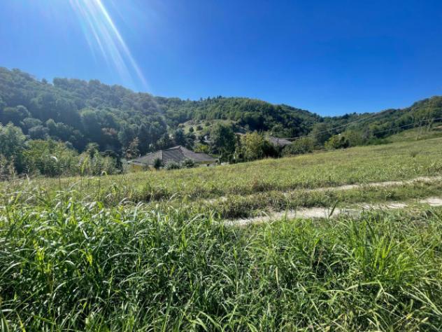 Terreno di 6000 m² in vendita a Pavarolo - Foto 6