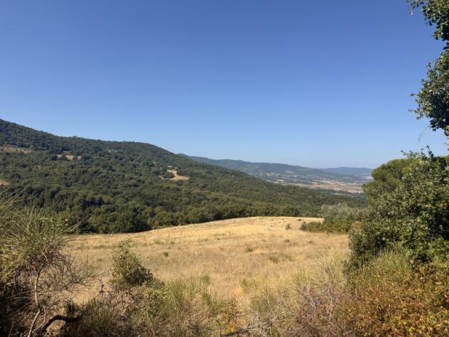 Agricolo in Vocabolo Cibottola - Foto 5
