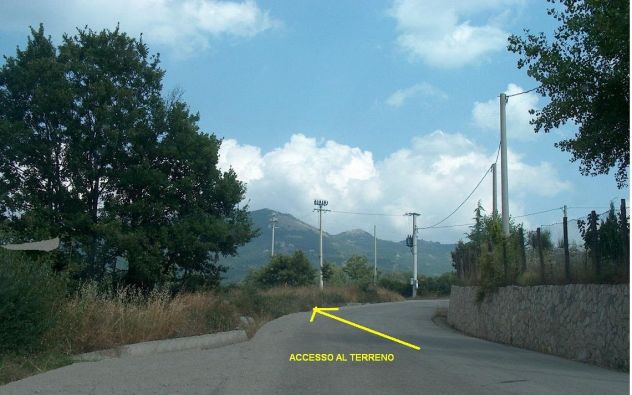 Terreno agricolo zona naturale - PREZZO SPECIALE - Foto 2