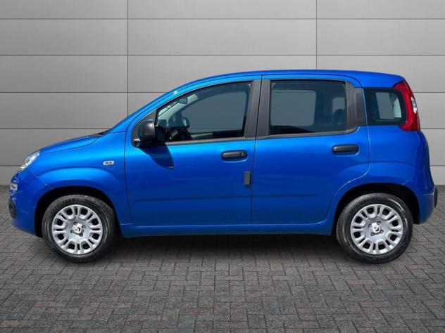 FIAT Pandina Pandina 1.0 firefly hybrid s&s 70cv 5p.ti - Foto 2