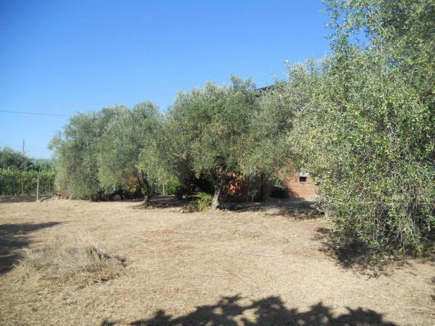 Villa in vendita a Luni 240 mq Rif: 1340981 - Foto 6