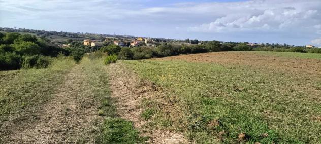 Agricolo in Via Nazareno Strampelli - Foto 7