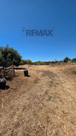 Terreno in vendita a Giarre - Foto 4