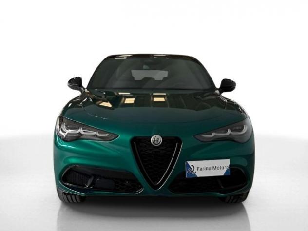 ALFA ROMEO Stelvio 2.2 Turbodiesel 210 CV AT8 Q4 Tributo Italiano rif. 21416672 - Foto 2