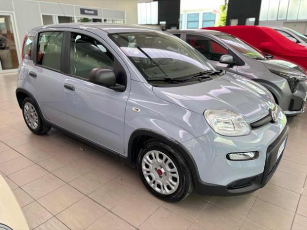 FIAT Panda 1.0 FireFly S&S Hybrid rif. 23750013