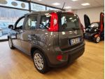 FIAT Panda 3ª serie Panda 1.0 FireFly S&S Hybrid