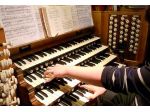 Organista Ghedi