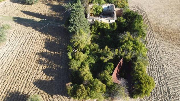 Cartoceto (pu) posizionato su un'altura che domina l'intera vallata del metauro fino alle principali spiagge di fano, non lontano dall'asse viario del - Foto 8