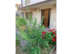 Casa singola in vendita a Montecatini-Terme 201 mq  Rif: 1420691