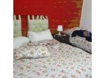 B&B ODEON