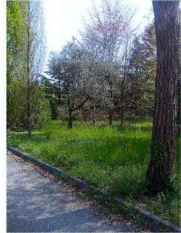 Immobile in asta di 11048 m² in vendita a Caneva - Foto 3