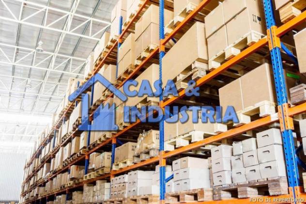 Immobile di 10000 m² con 1 locale in affitto a Rho - Foto 2