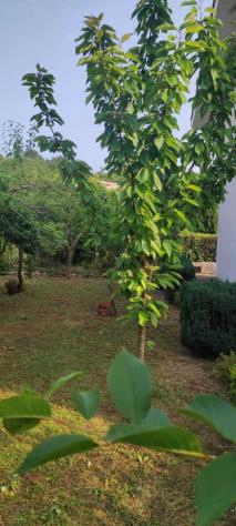 Villa a schiera in vendita a Castelnuovo Parano - Foto 2