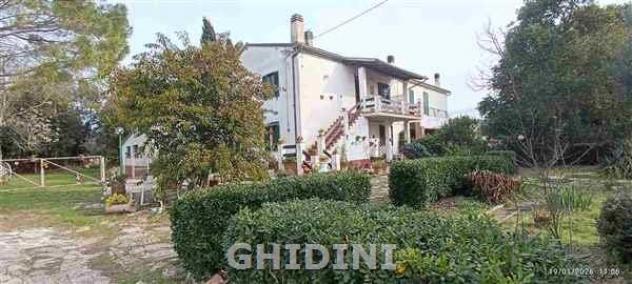 CASALE di 10 vani e di 265 mq (GROSSETO - CENTRO) rif. 2535.27M - Foto 3