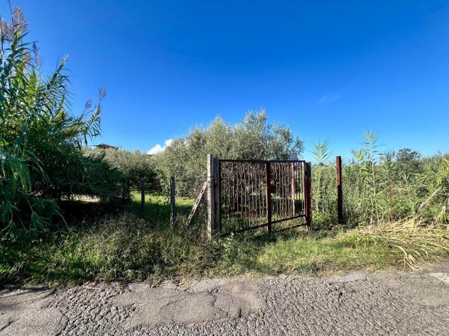 Agricolo in Via Colle Rasto - Foto 7