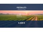 Immobile in asta di 1740 m² in vendita a Pistoia