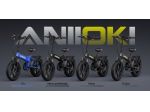 FAT BIKE PIEGHEVOLE ANIIOKI A6 PRO 48V 20AH NUOVO