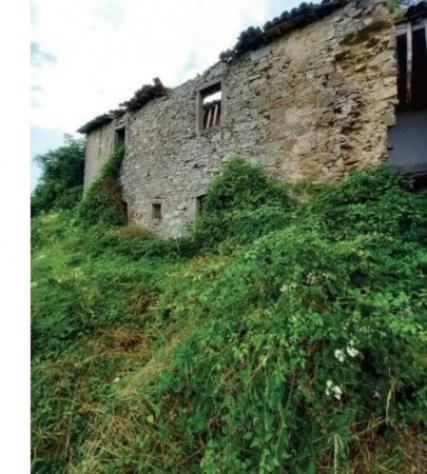 Immobile in asta di 1594609 m² in vendita a Arcidosso - Foto 7
