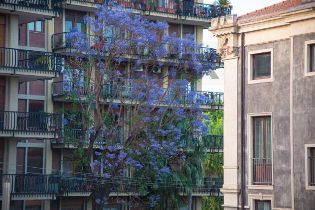 Appartamento in affitto a Catania, Zona centro