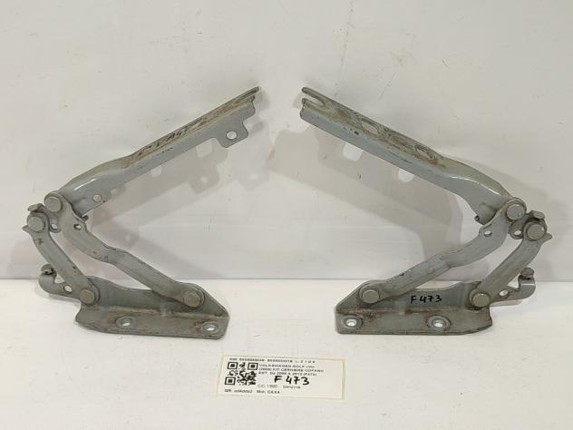 CERNIERE COFANO ANTERIORE DX E SX VOLKSWAGEN Golf 6 Berlina 5K0823302B 5K0823301B CAXA (0812)
